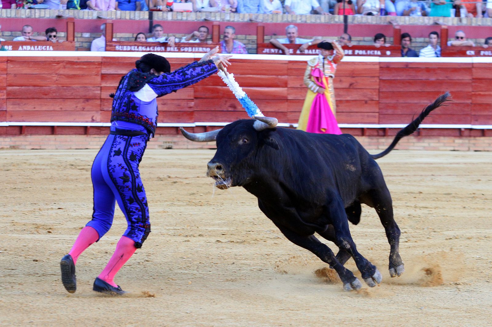 Imágenes de la Novillada de Rafael Serna, Emilio Silvera y Rodrigo Molina.