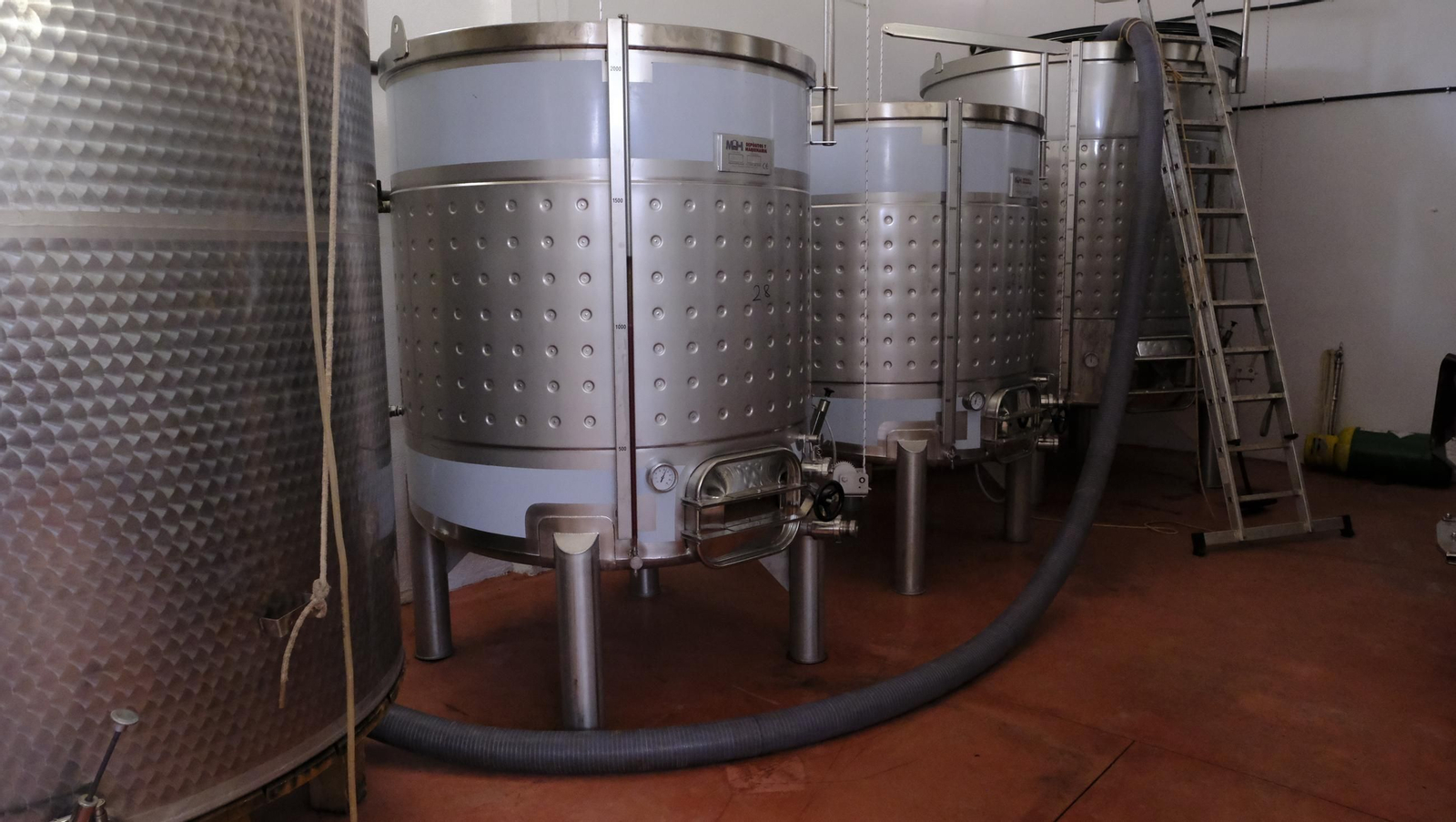 La vendimia en la Bodega Cortijo del Cura de Laujar, en imágenes
