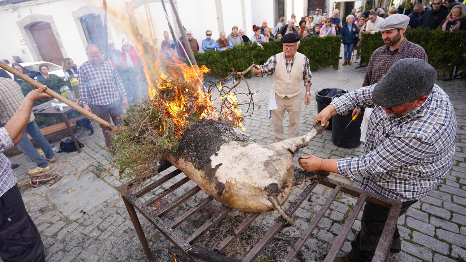 Fiesta de la Matanza de Alcaracejos.