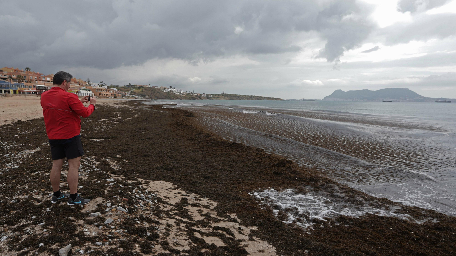 Algas invasoras en la playa de Getares