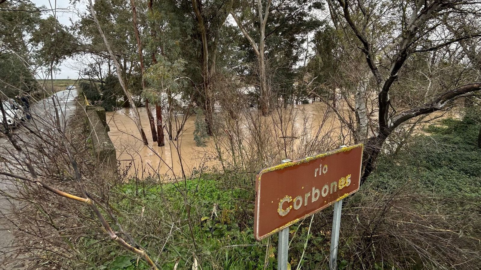 El suceso ocurrió al fondo a la izquierda de la foto, muy cerca de un Corbones que bajaba así de caudaloso.