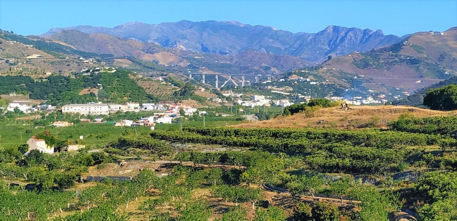 Costa de Granada: Los regantes denuncian trato discriminatorio por parte de la Junta con la agricultura de Almuñécar