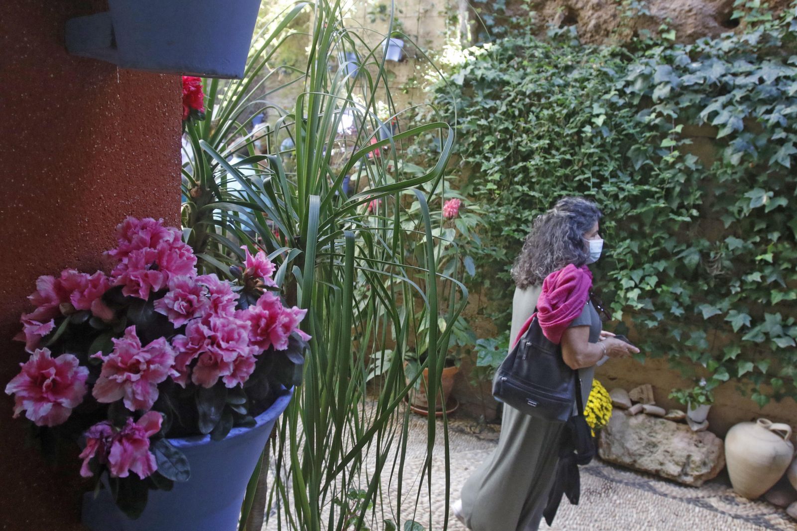 Los Patios en otoño, en fotografías