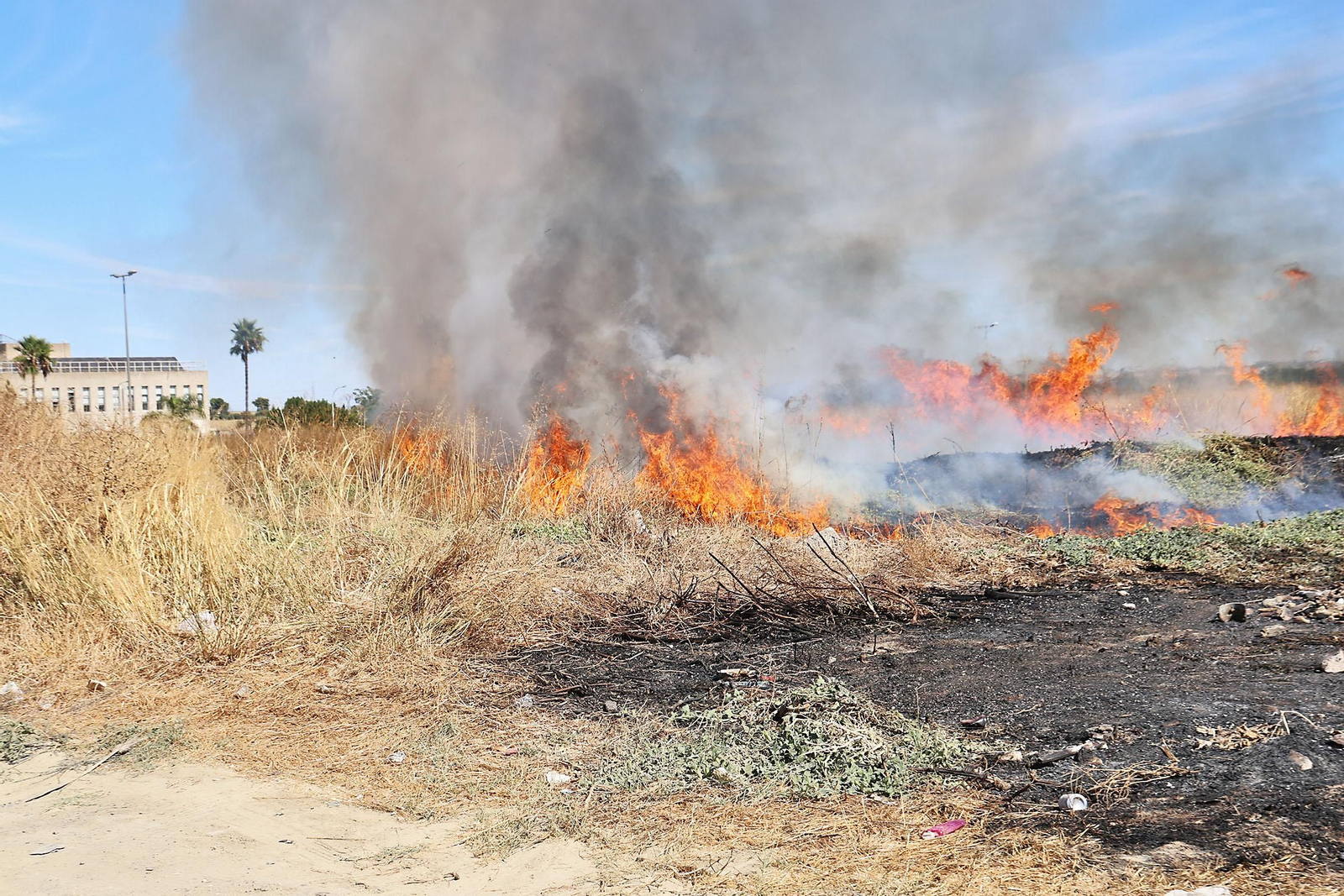 Imágenes del incendio junto al Hospital Juan Ramón Jiménez y el campo de fútbol de El Torrejón en Huelva
