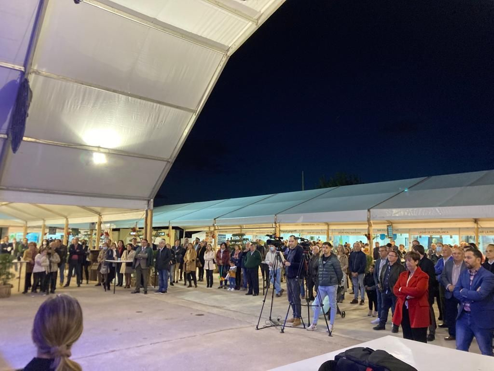 La inauguración de la Feria del Vino de Tinaja en Montalbán, en imágenes
