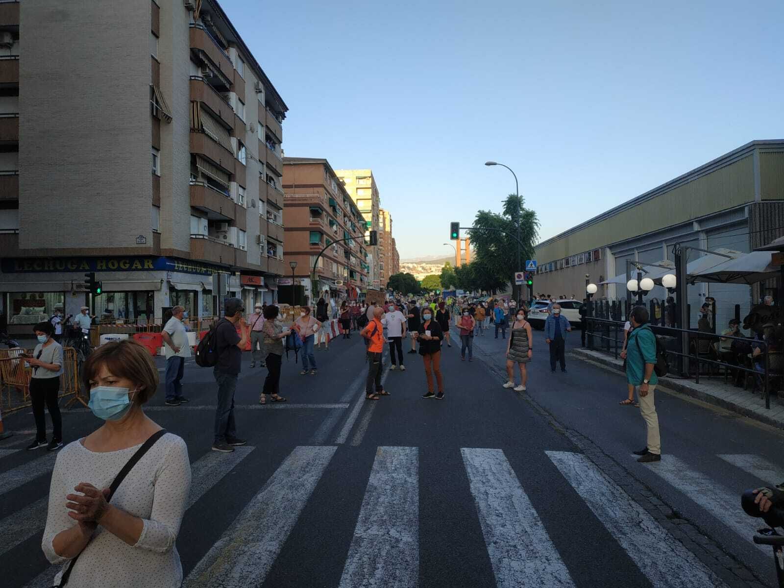 Manifestación en Granada: el Zaidín se echa a la calle para defender sus árboles de la calle Palencia