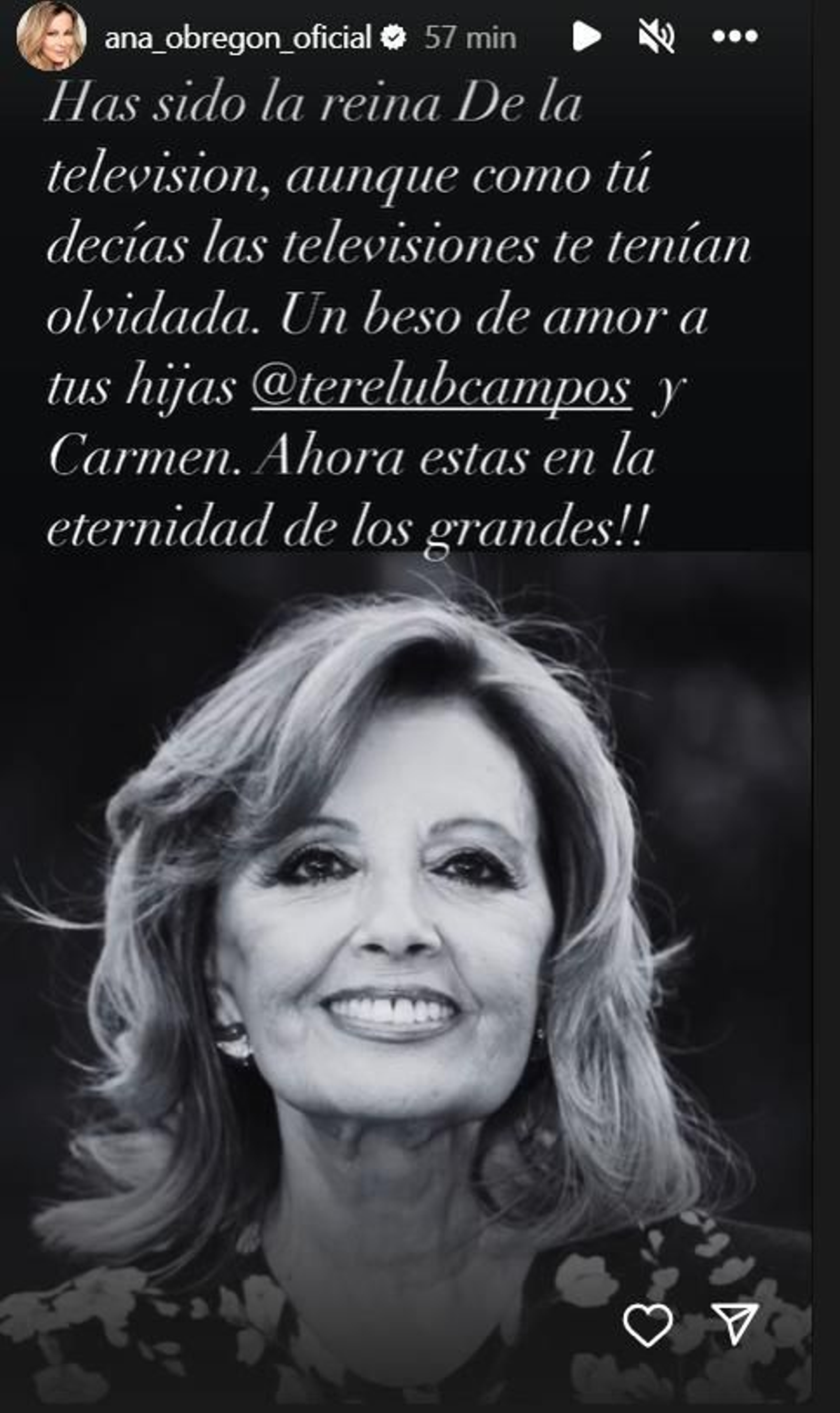 Storie de Ana Obregón dedicado a María Teresa Campos