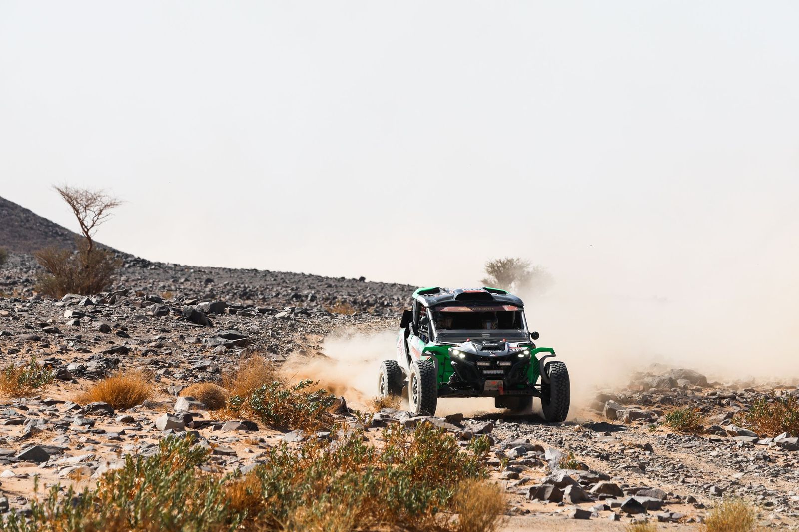 Las mejores fotos del Rally Dakar | Novena etapa