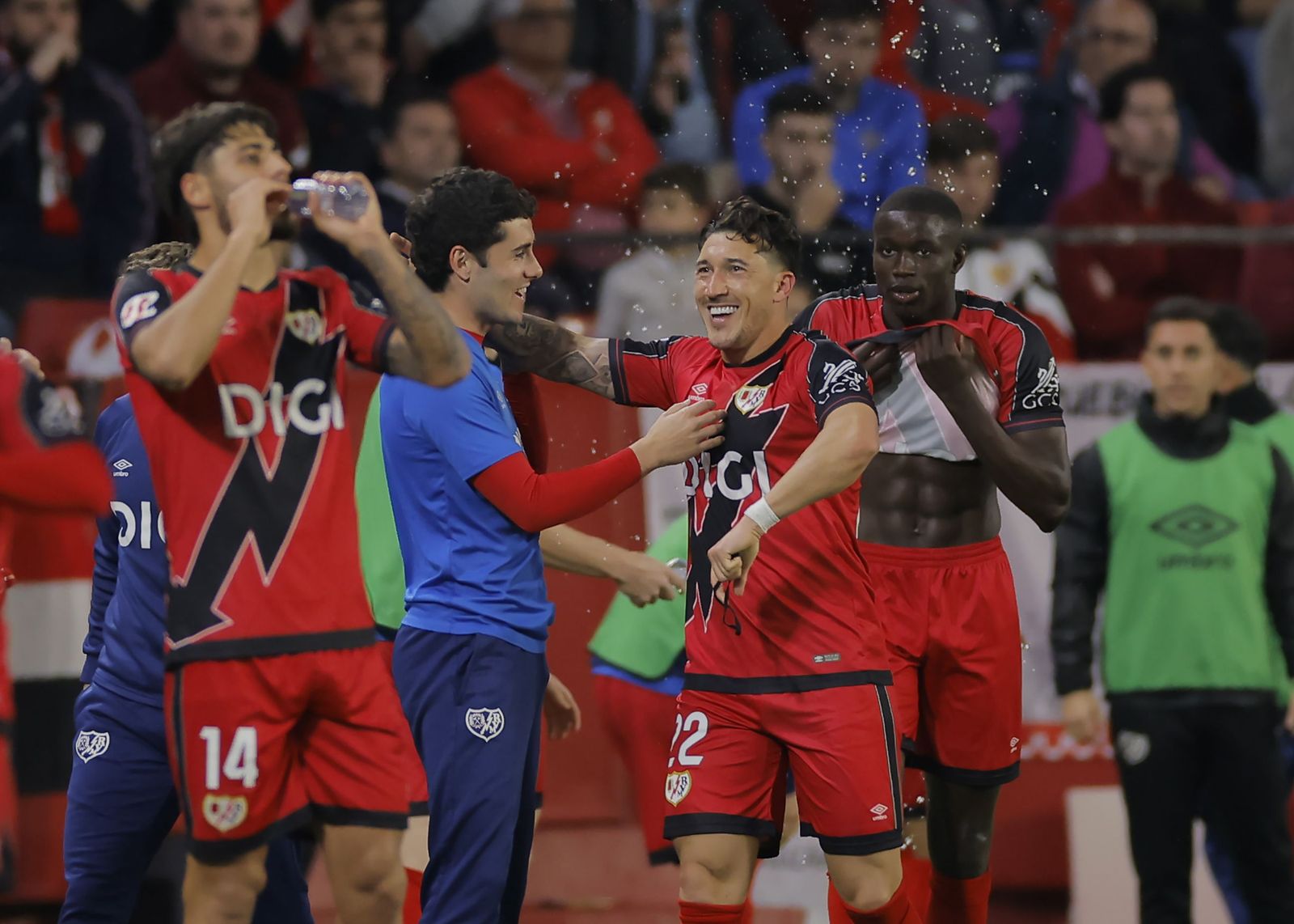 Las fotos del Sevilla FC - Rayo