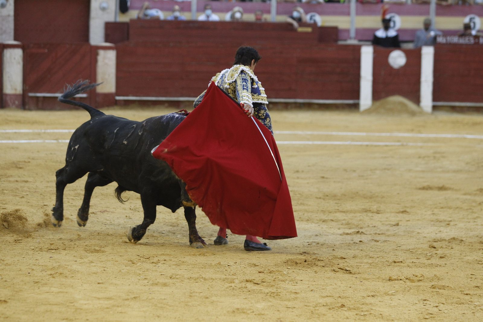 Fotogalería segunda corrida de toros Feria de Almeria 2021