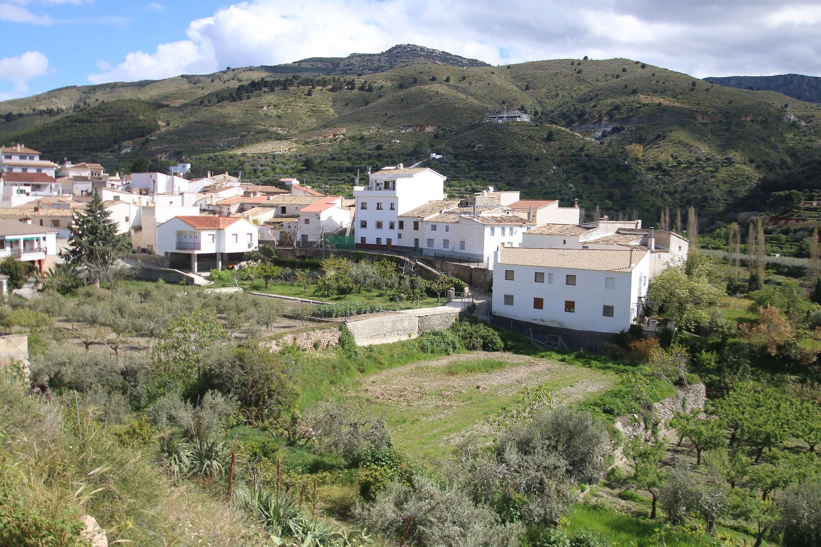 Fotogalería del confinamiento por coronavirus en los pueblos de la provincia de Almería