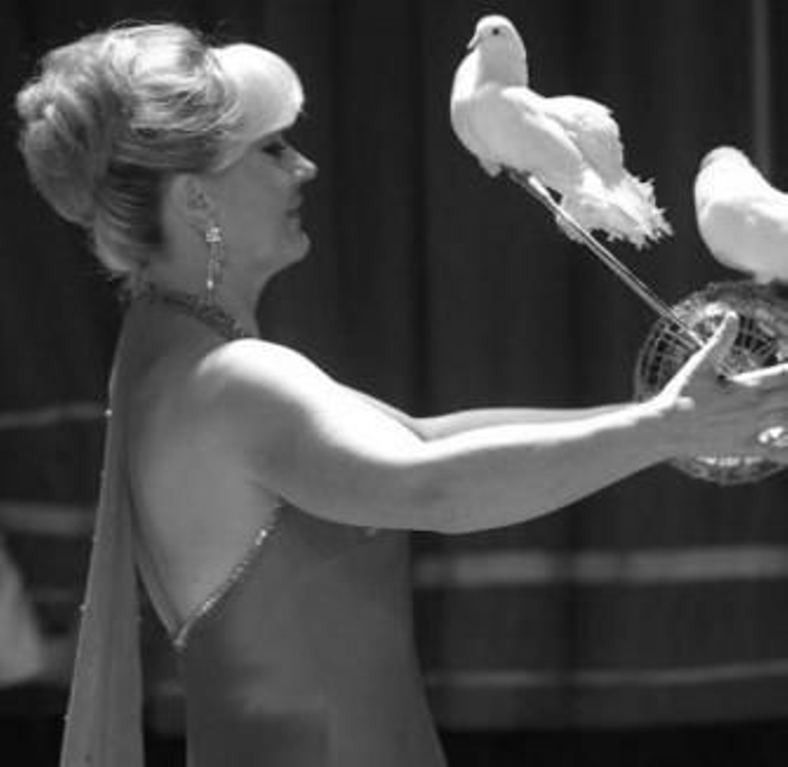 Imagen de la edición pasada del Circo Gottani en Granada.