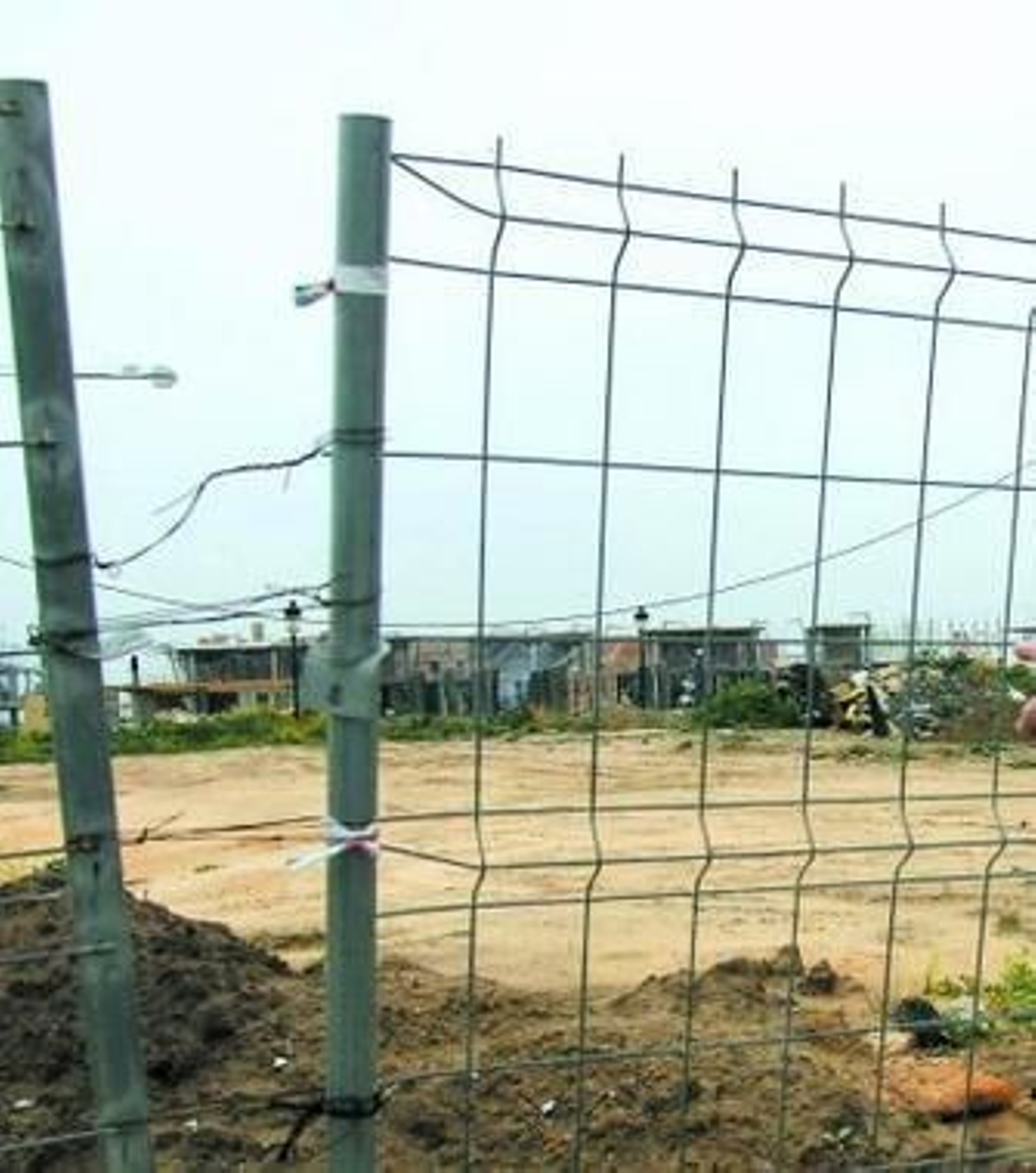 Zona de La Palma donde está localizada la fosa común.