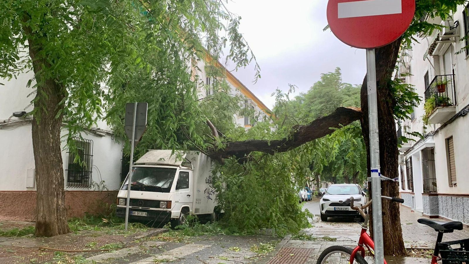 La caída de una rama de gran porte sobre una furgoneta en la calle Naos.