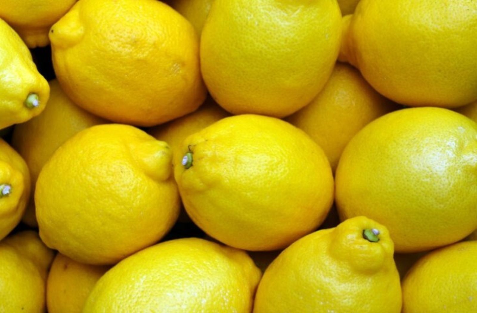 La nueva variedad de limones que ofrece Mercadona