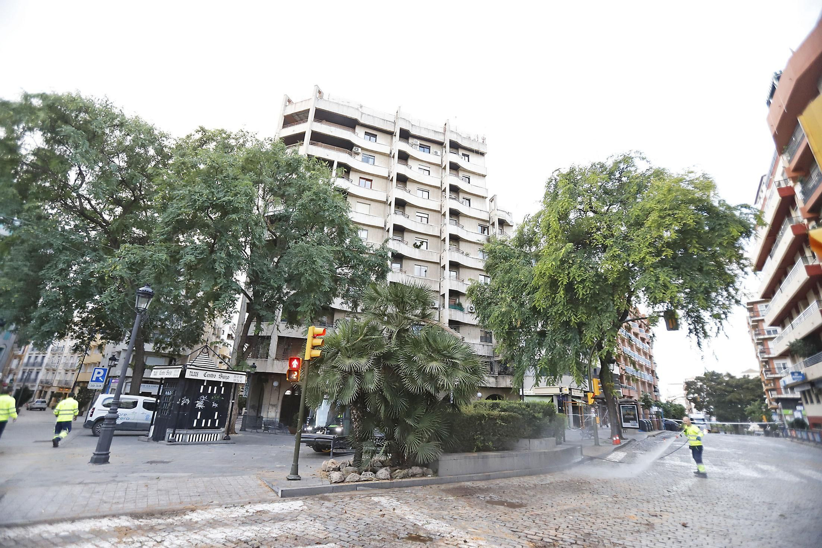 Imágenes de la tala de la emblemática Palmera de Huelva