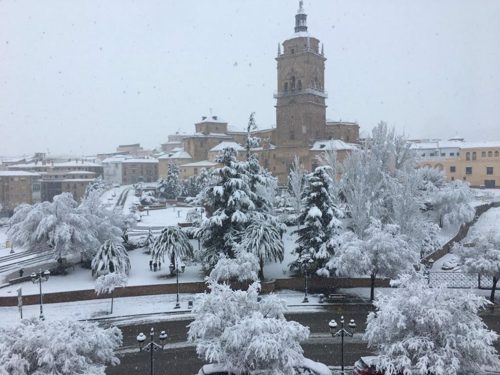 Borrasca Gloria: la nieve fuerza el cierre de colegios por toda la provincia de Granada