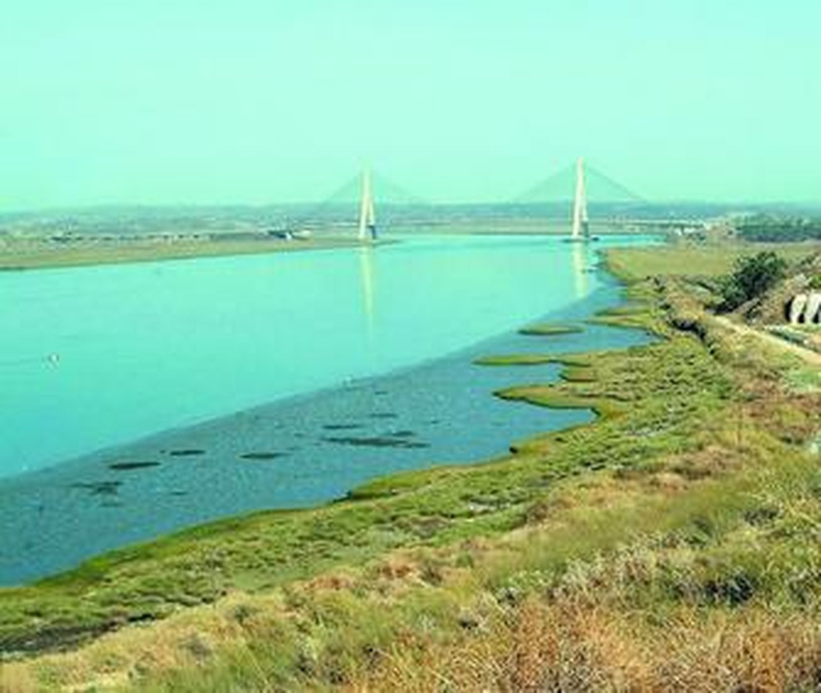Los conservacionistas aseguran que el dragado de la barra repercutirá en todo el estuario del río.