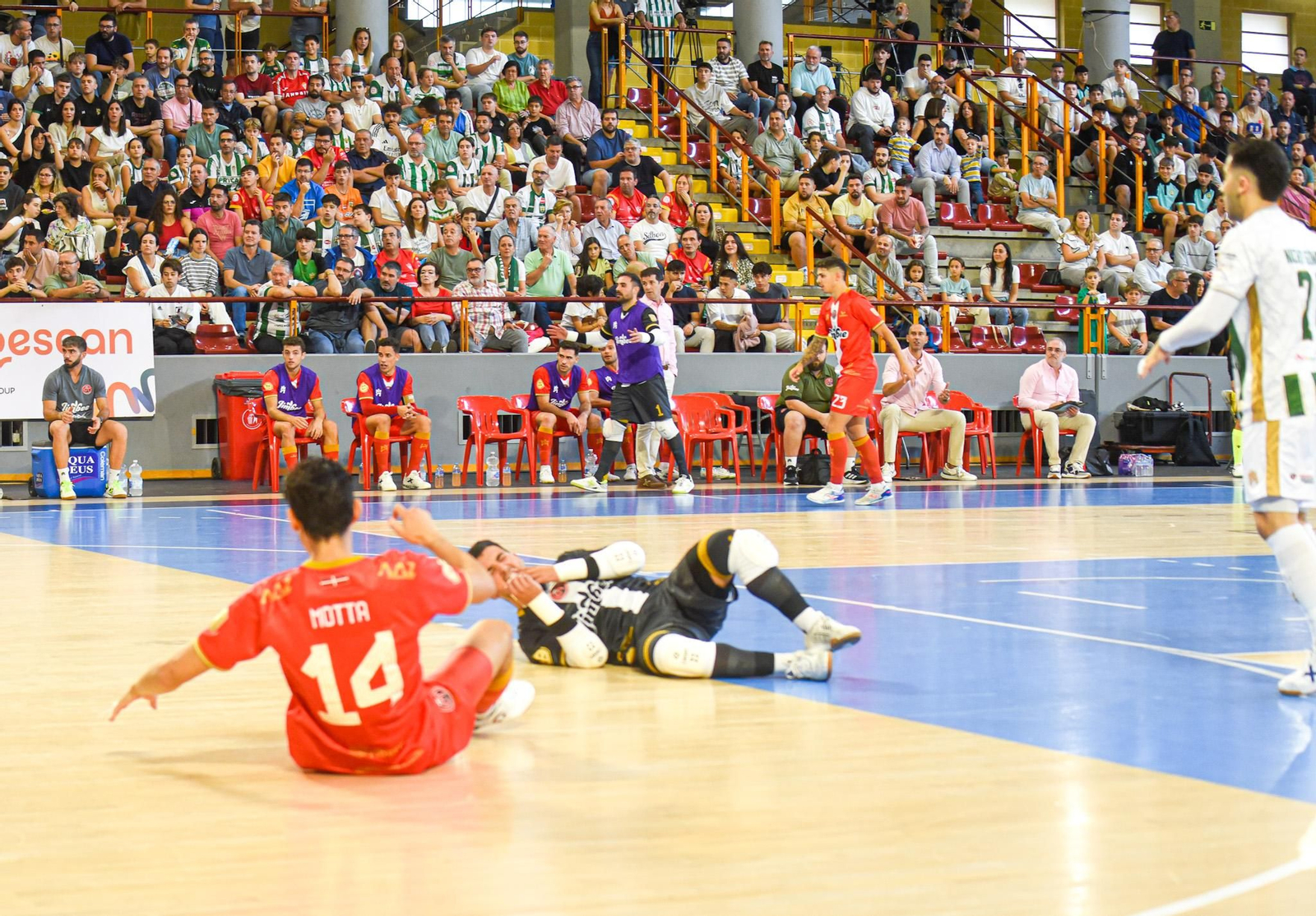 Las mejores fotos del ambiente en Vista Alegre para el Córdoba Futsal - Jimbee Cartagena