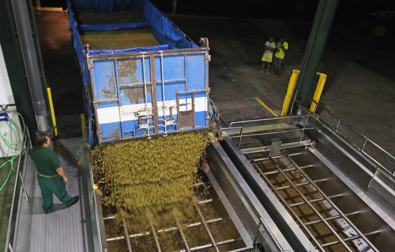 Uno de los camiones procedentes de la viña Tío Mateo descarga la uva en el lagar del grupo Estévez.