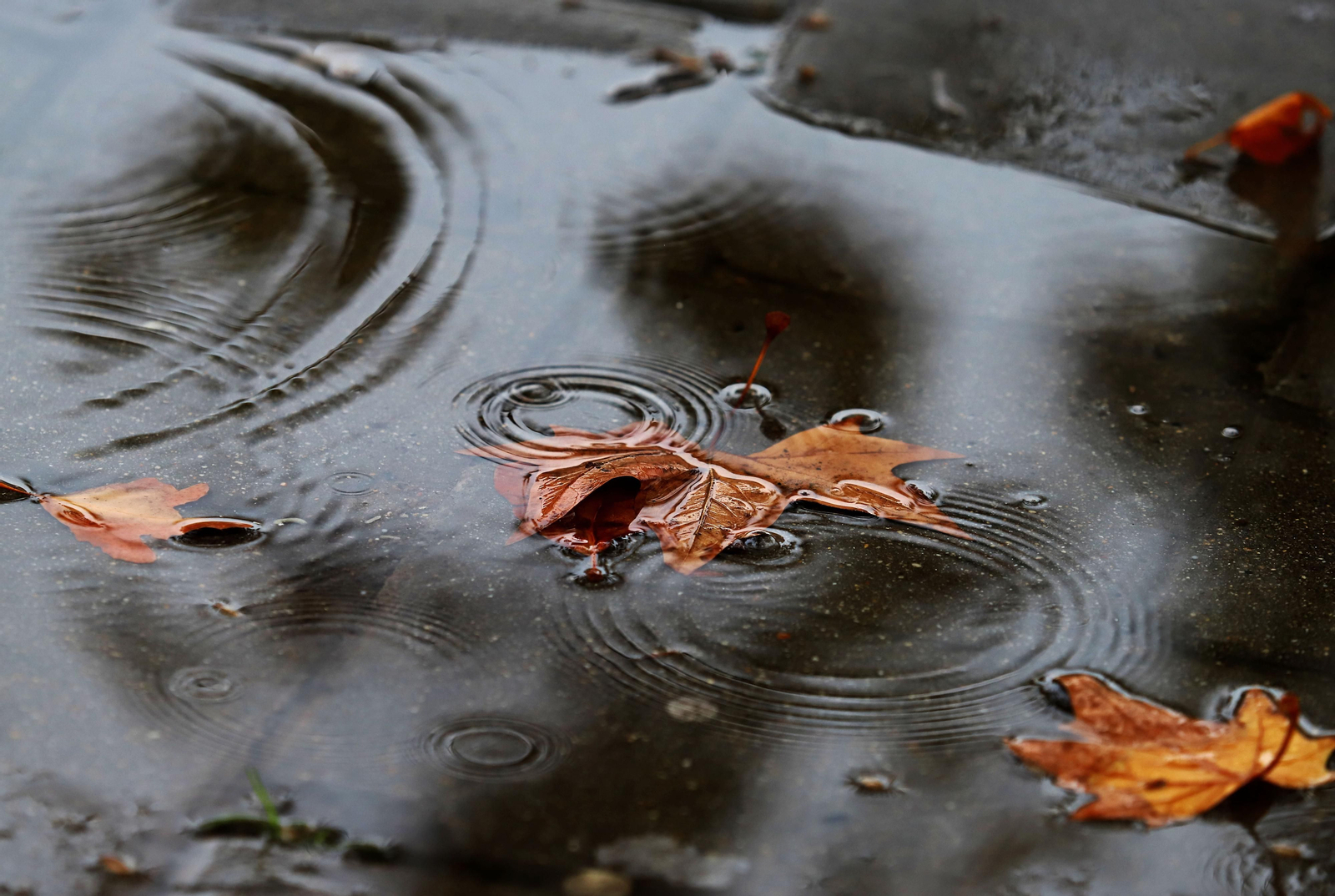La mañana del sábado despide las lluvias de otoño en Huelva