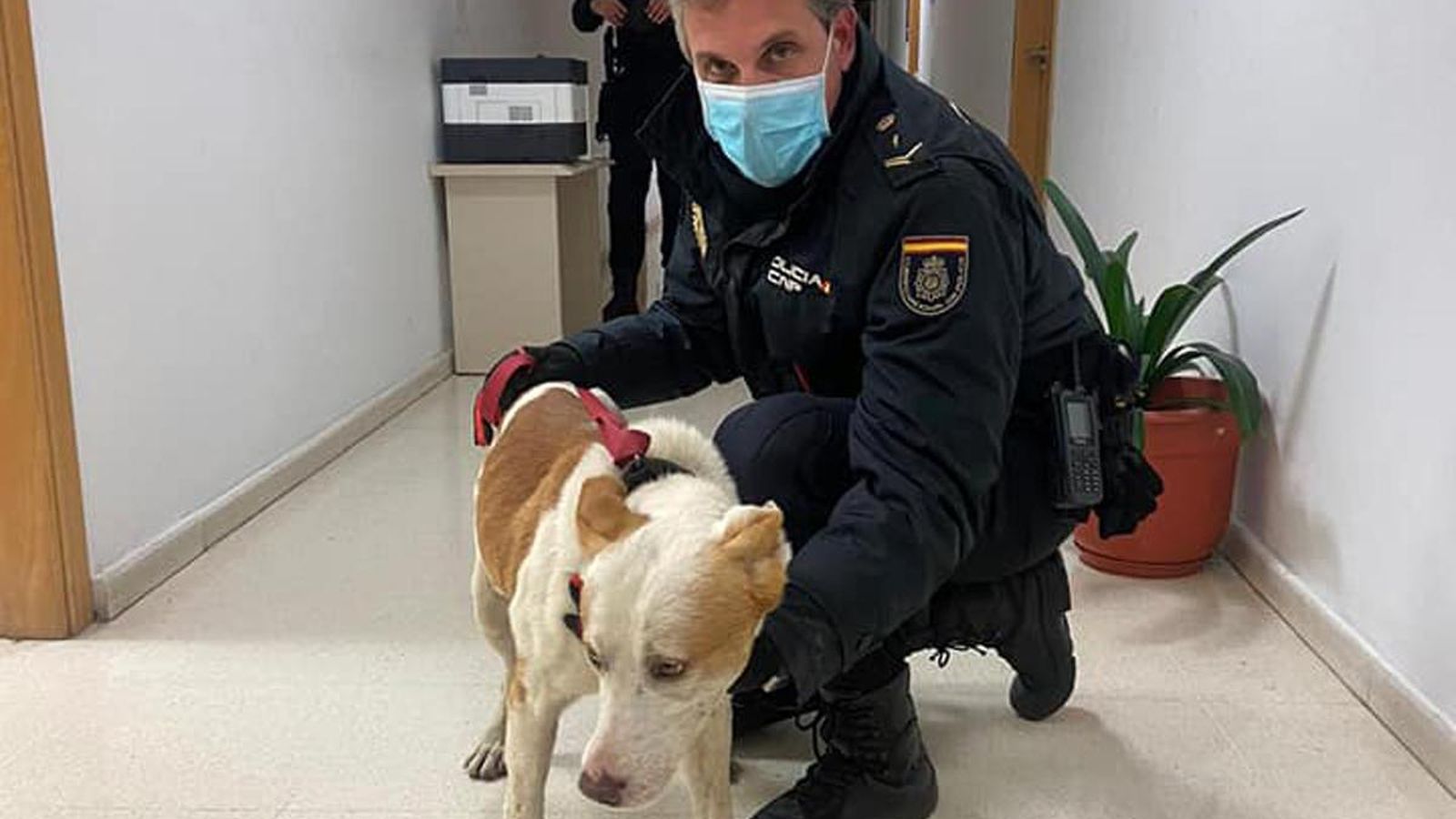 El agente Manuel Prieto tras el rescate del animal El agente Manuel Prieto tras el rescate del animal