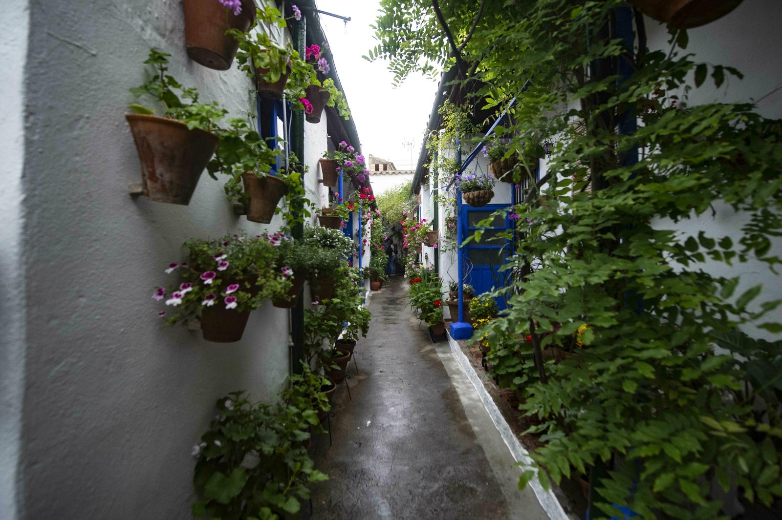 En imágenes: la ruta de los Patios Santa Marina-San Agustín