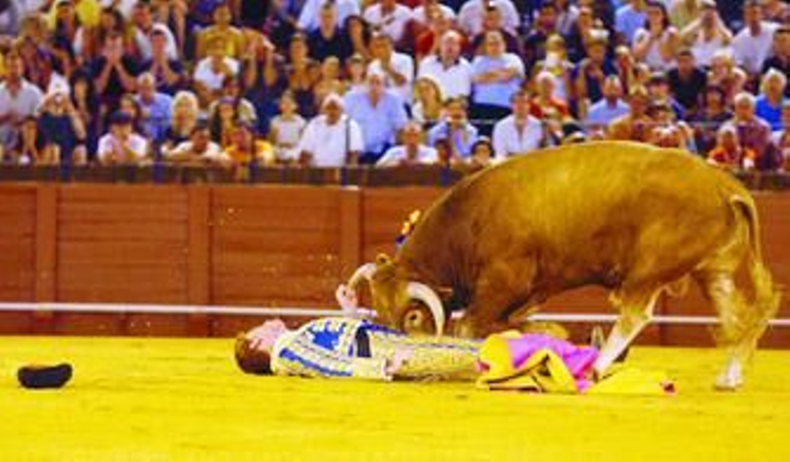 El novillero castellonense Juan Sarrión, inerte, tras el palazo que le propinó el segundo novillo.