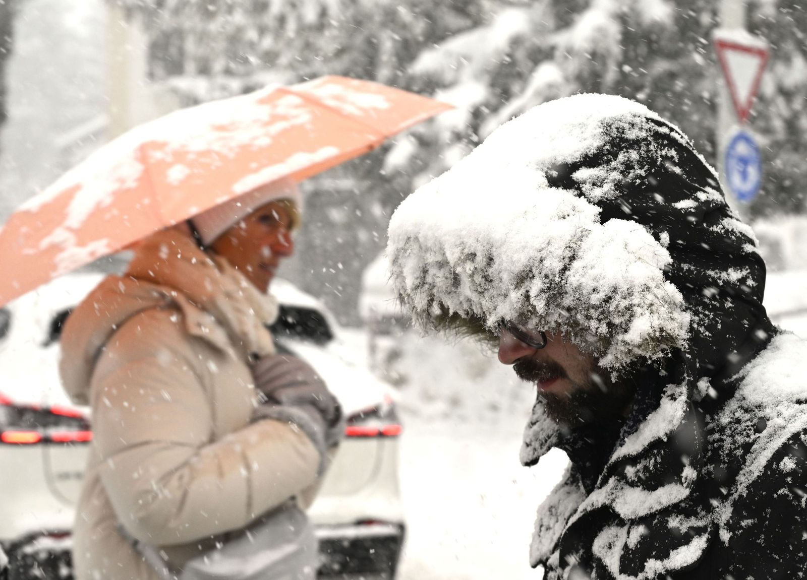 La gran nevada 1 (5)