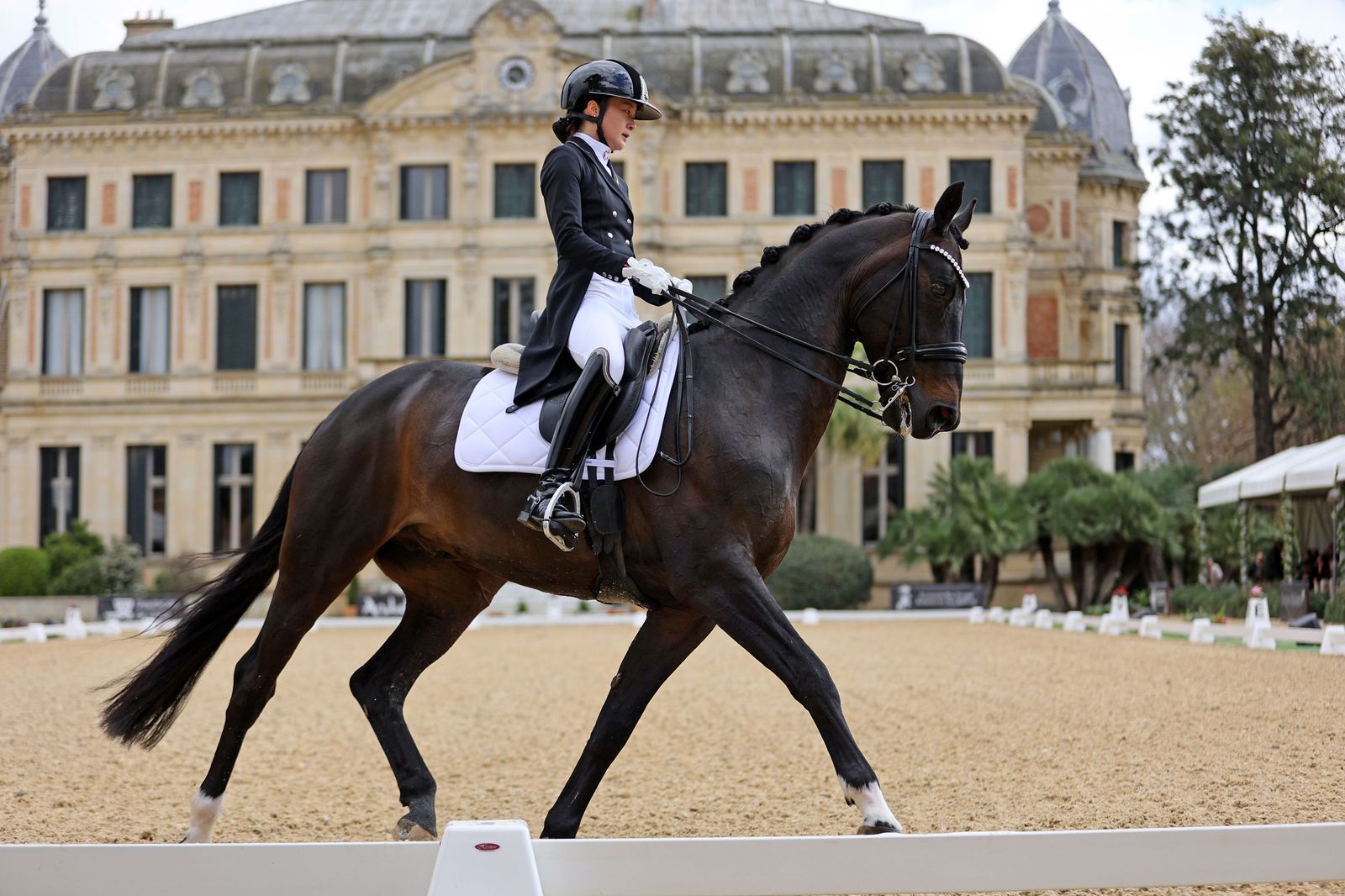 Concurso Internacional de Doma Clásica en La Real Escuela de Jerez