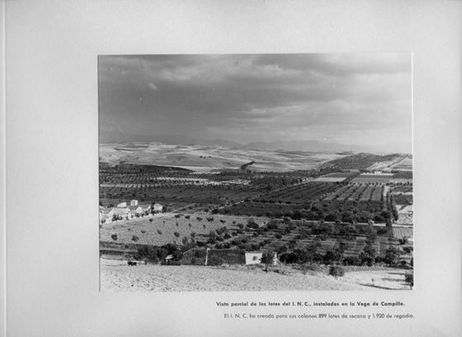 Vista general de las parcelas de 0,5 hectáreas delimitadas en Vega de Campillo.