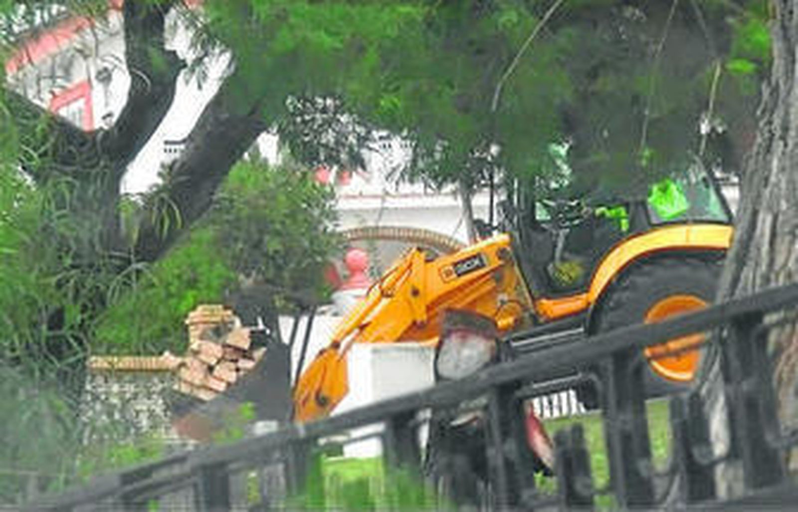 La retroexcavadora carga los bloques de madera de la pérgola cortada.