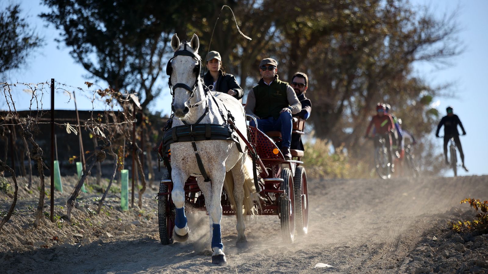 II Ruta Viñas de Jerez