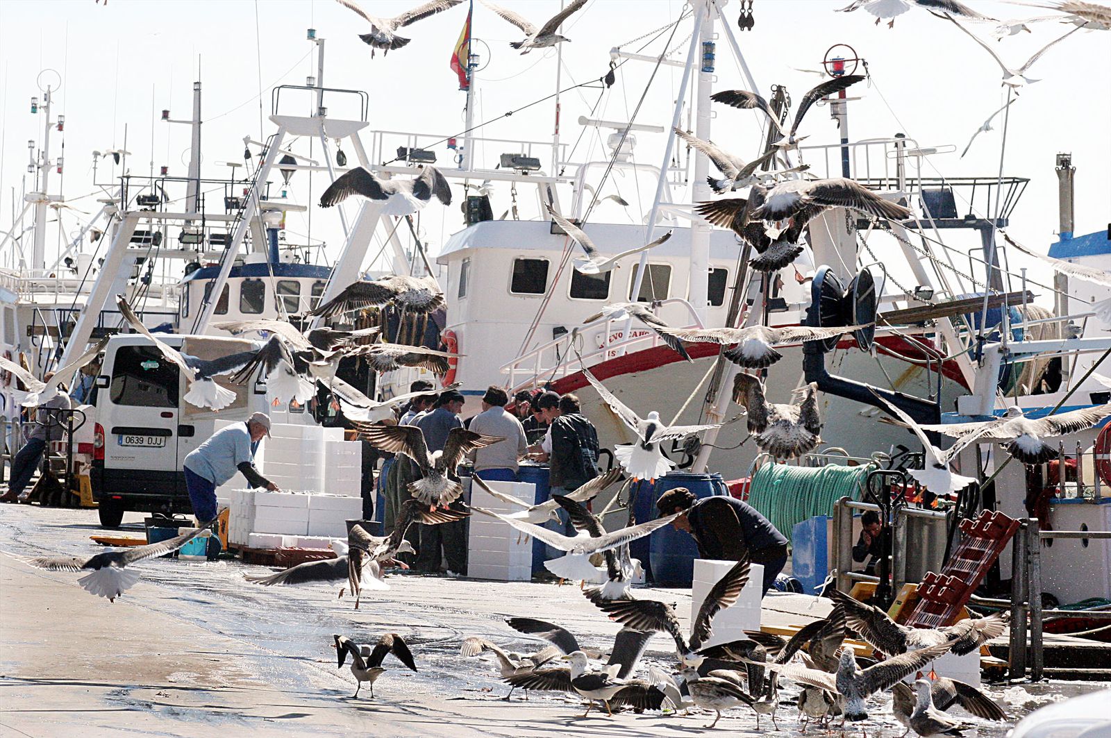 Descarga de pesca en el puerto de Isla Cristina.