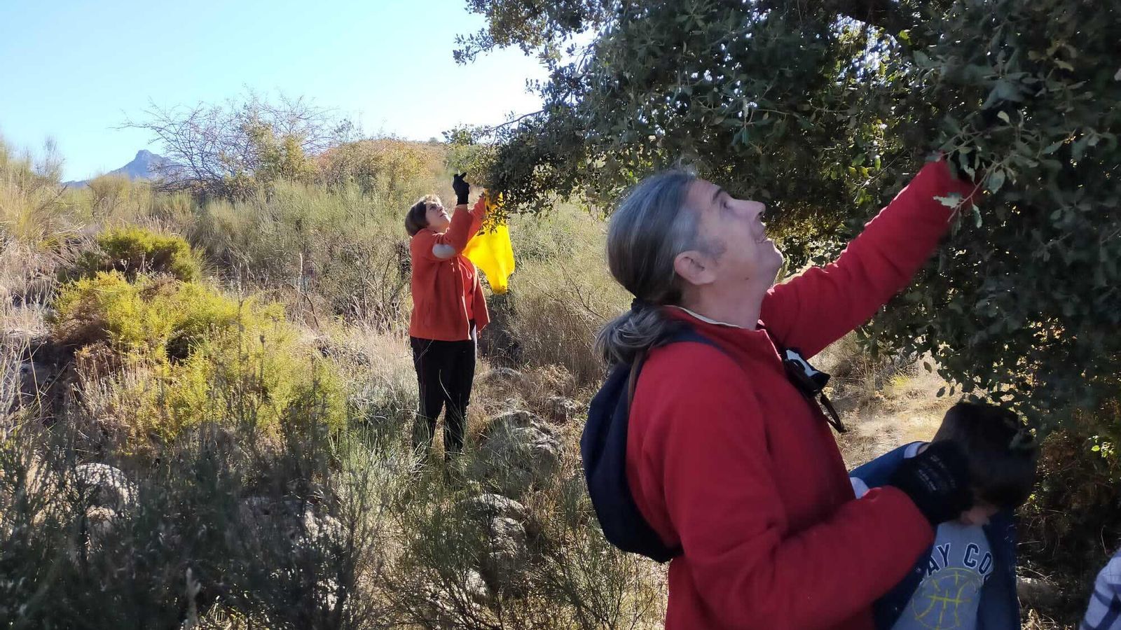 Recogida previa en la Fuente del Hervidero