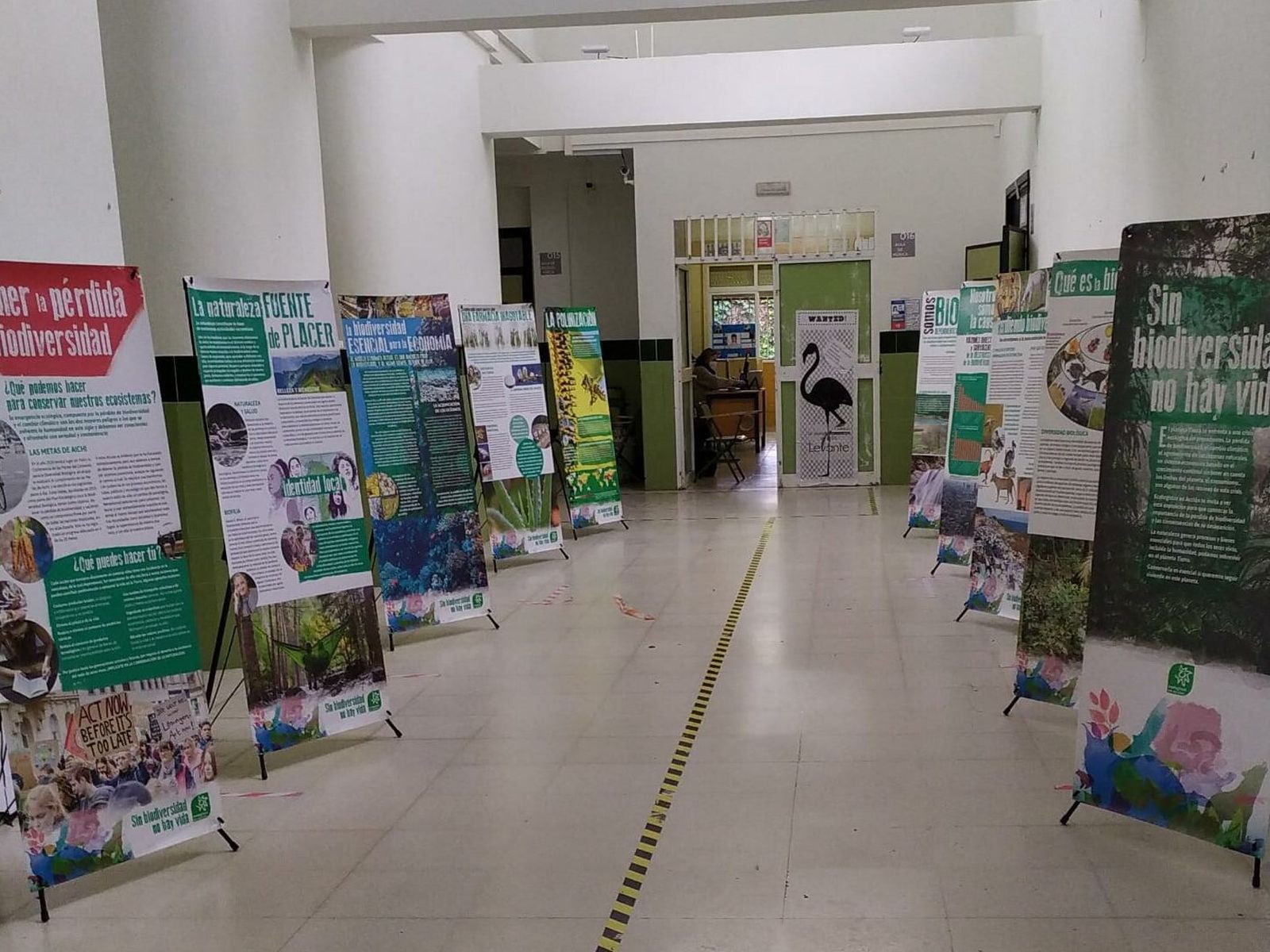 Paneles que integran la muestra que se expondrá durante la última semana de febrero en la ciudad.