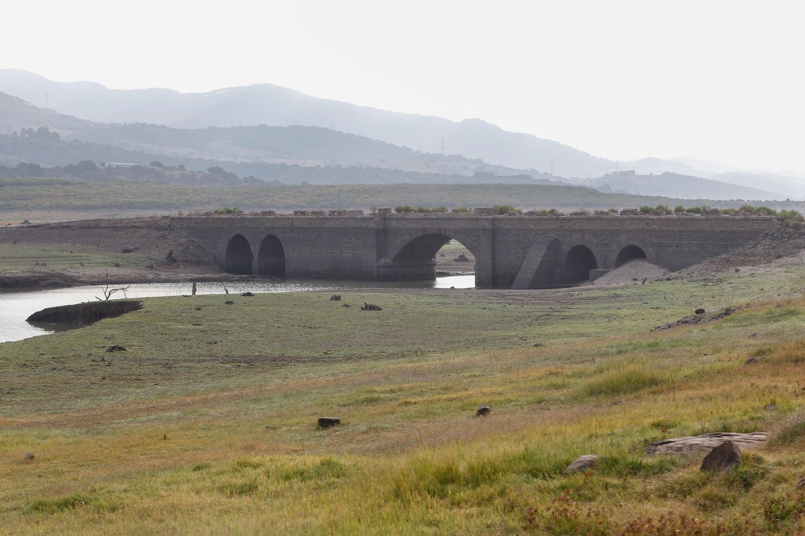 Fotos del estado del pantano de Charco Redondo en Los Barrios