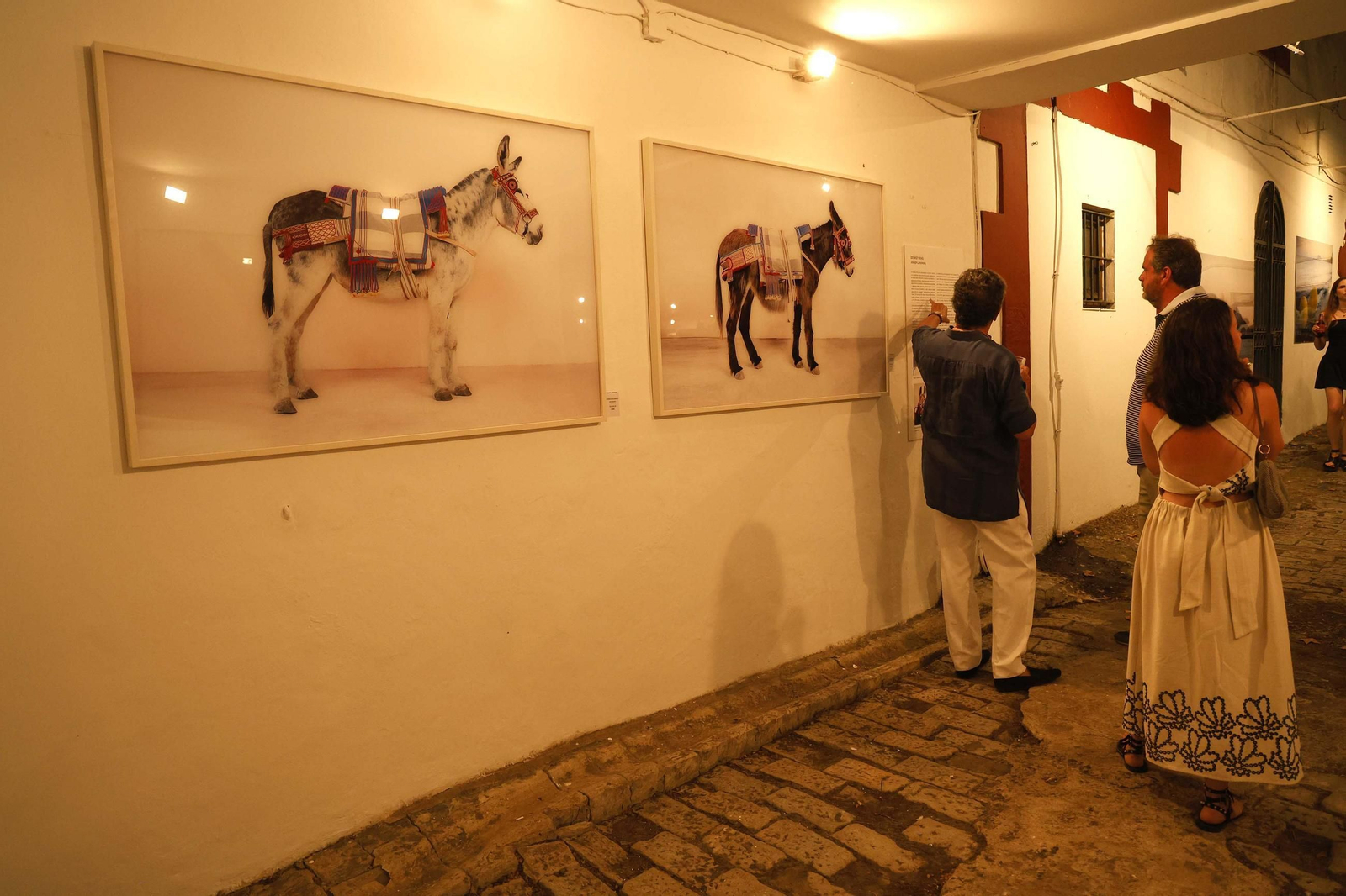 Las fotos del XXV Encuentro de Artistas de Guadacorte
