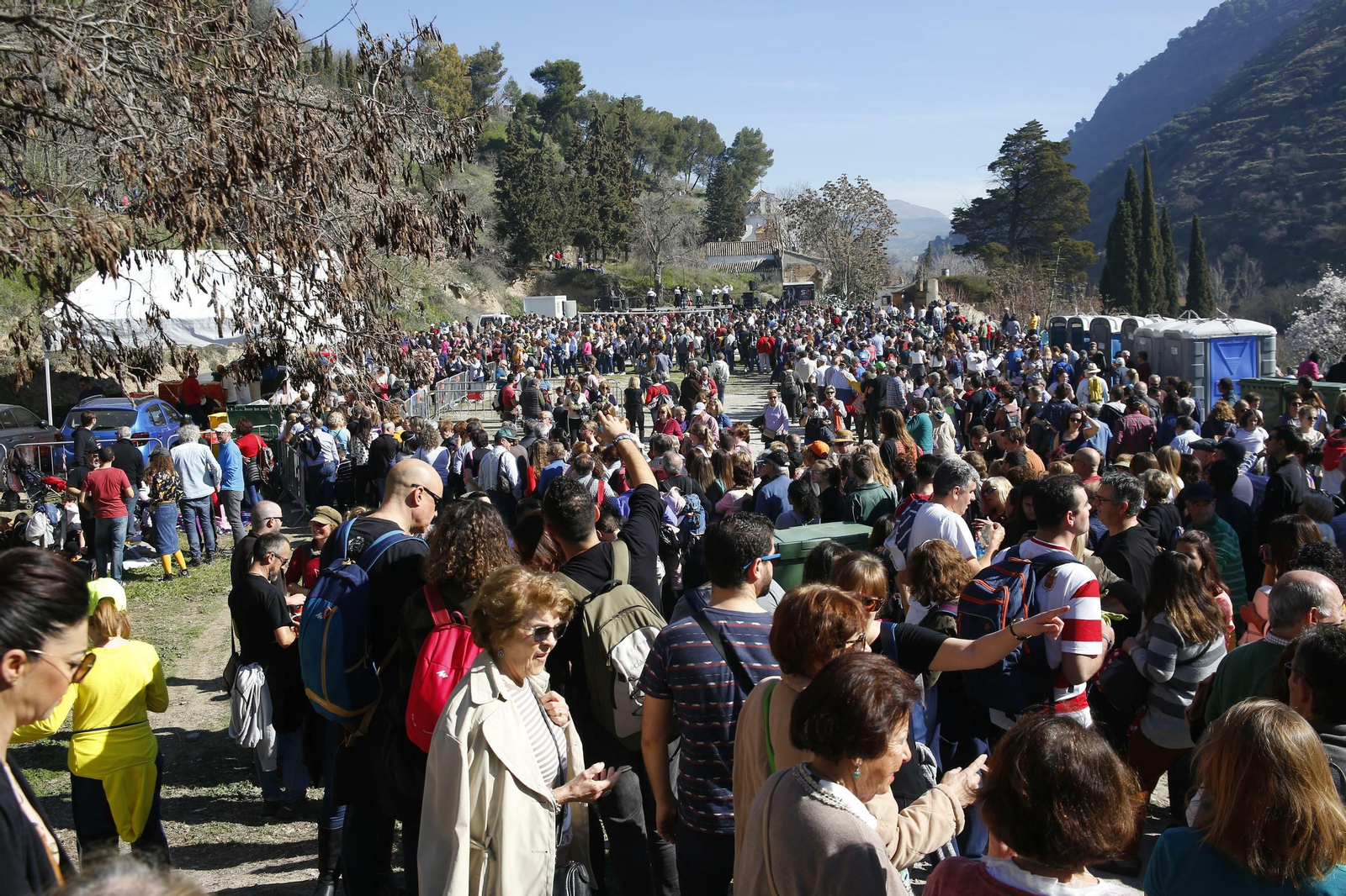 Las mejores imágenes de San Cecilio