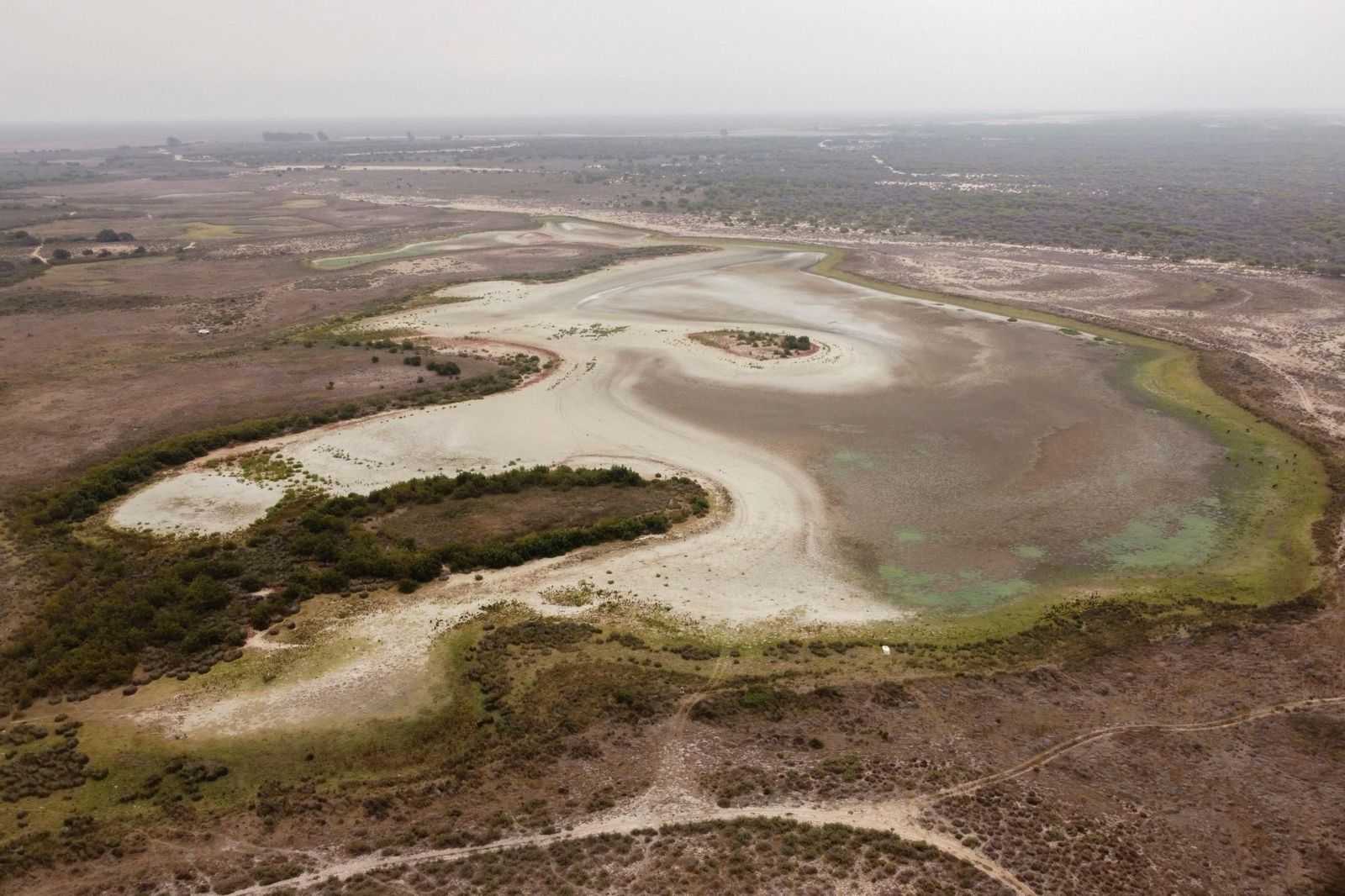 Vista aérea de una laguna de Doñana.