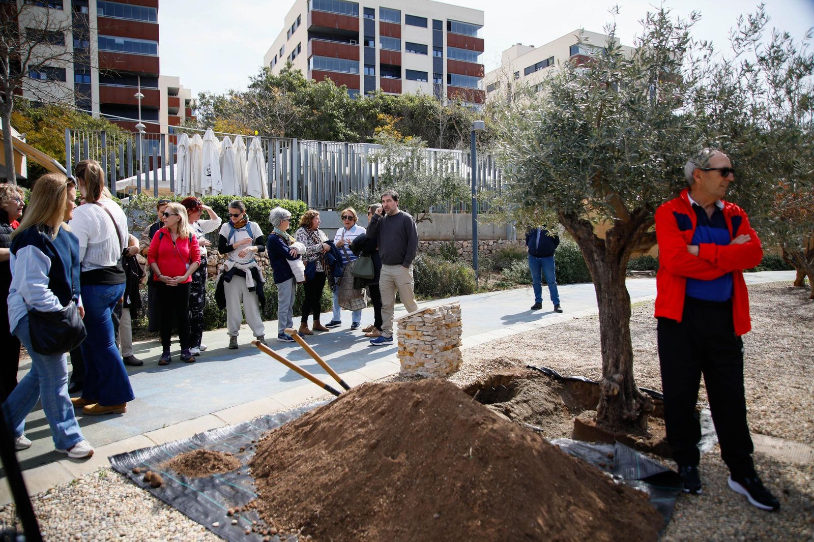 Las imágenes de la plantación de un olivo y el entierro de una cápsula del tiempo