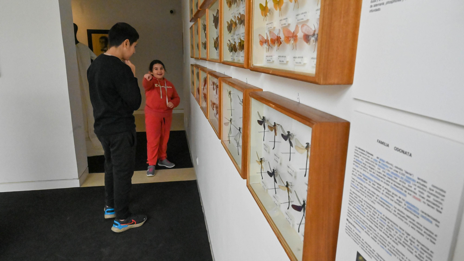 Las fotos de la colección etimologica de Pepe Torres en el Museo Cruz Herrera