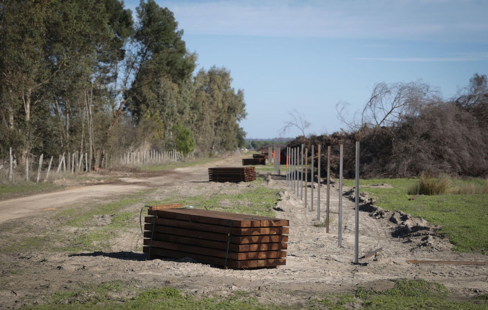 La renaturalización de Los Mimbrales: imágenes de la transformación del espacio natural