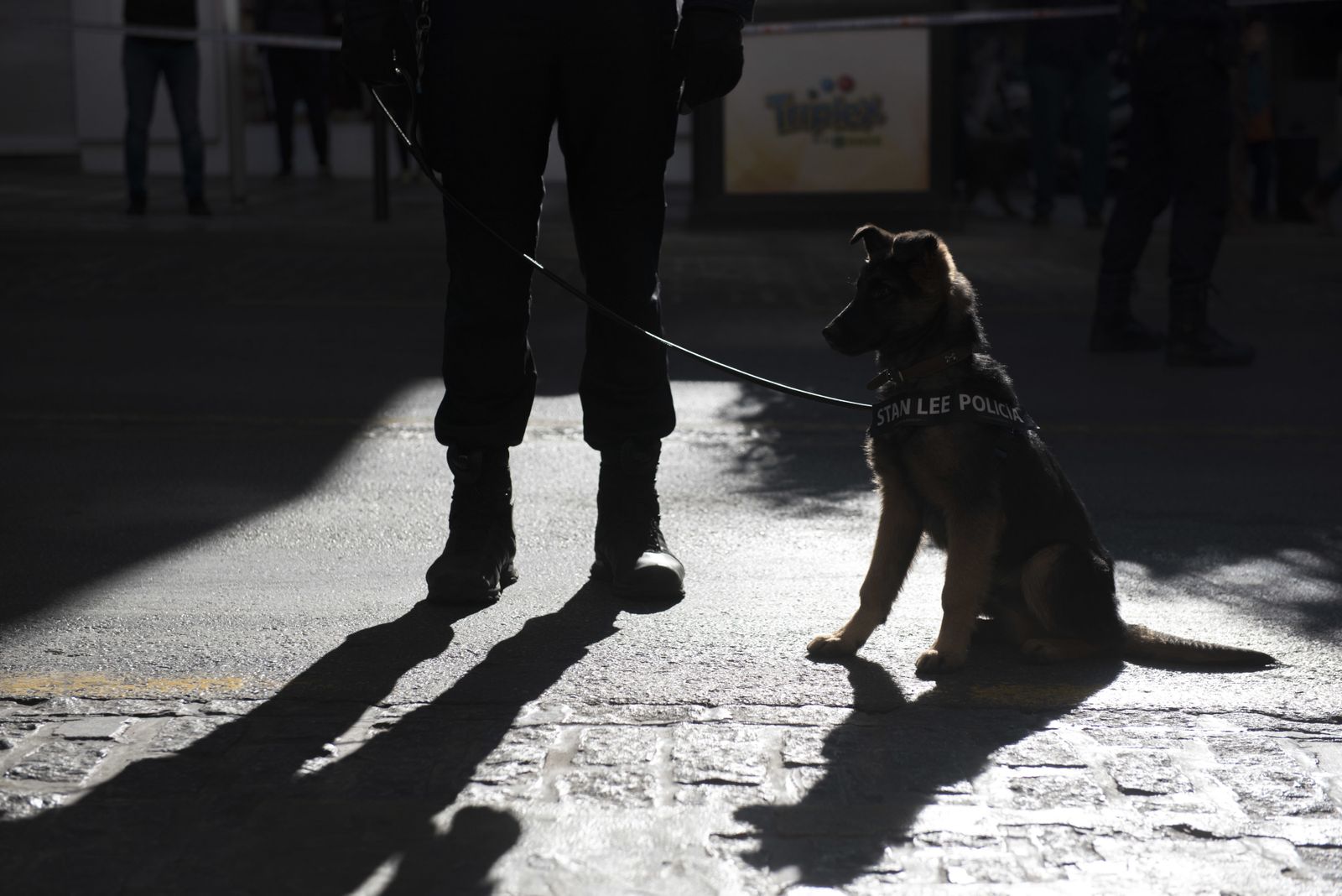 Las imágenes del Día sin coches