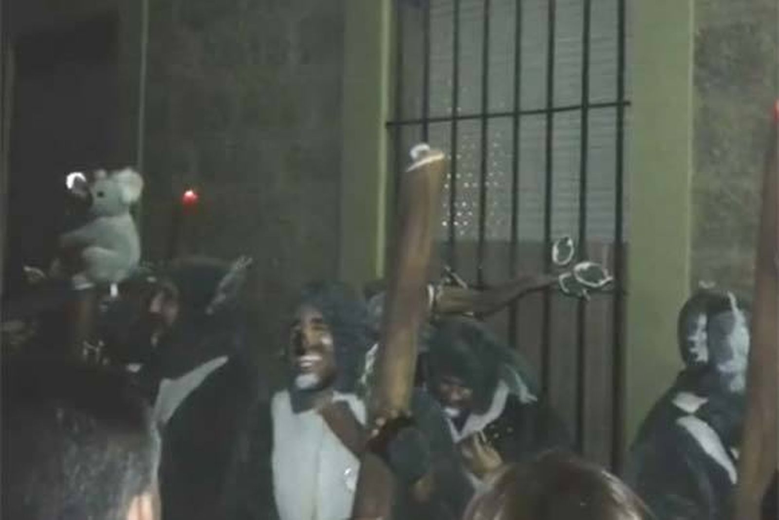 Callejeando: Los koala Lumpur