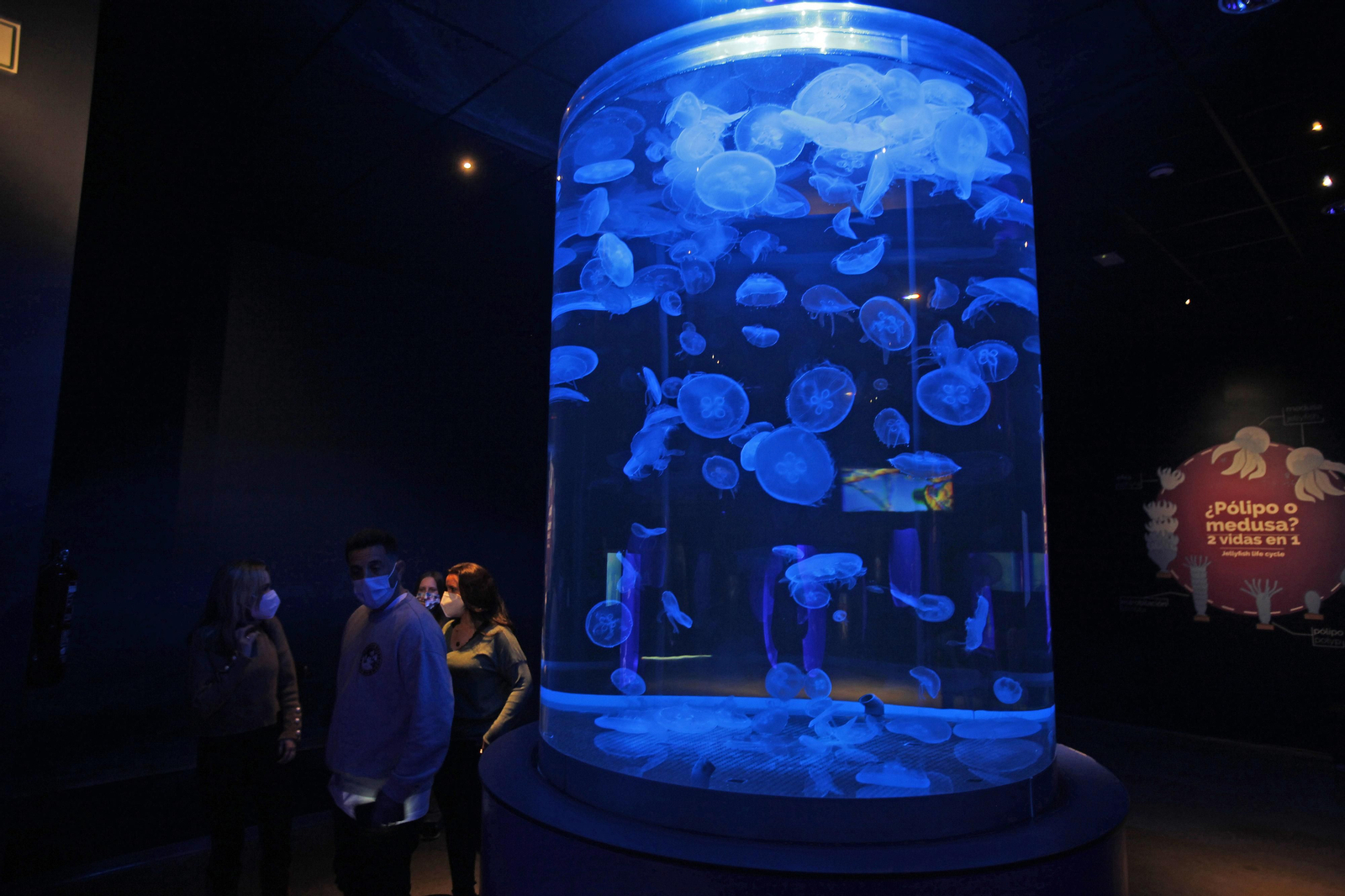 Semana de la Educación Ambiental en el Acuario de Sevilla