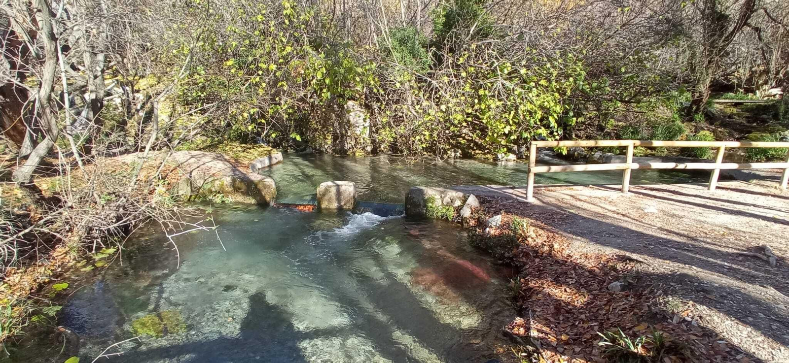 Las imágenes de la ruta del Bosque Encantado de Higueras