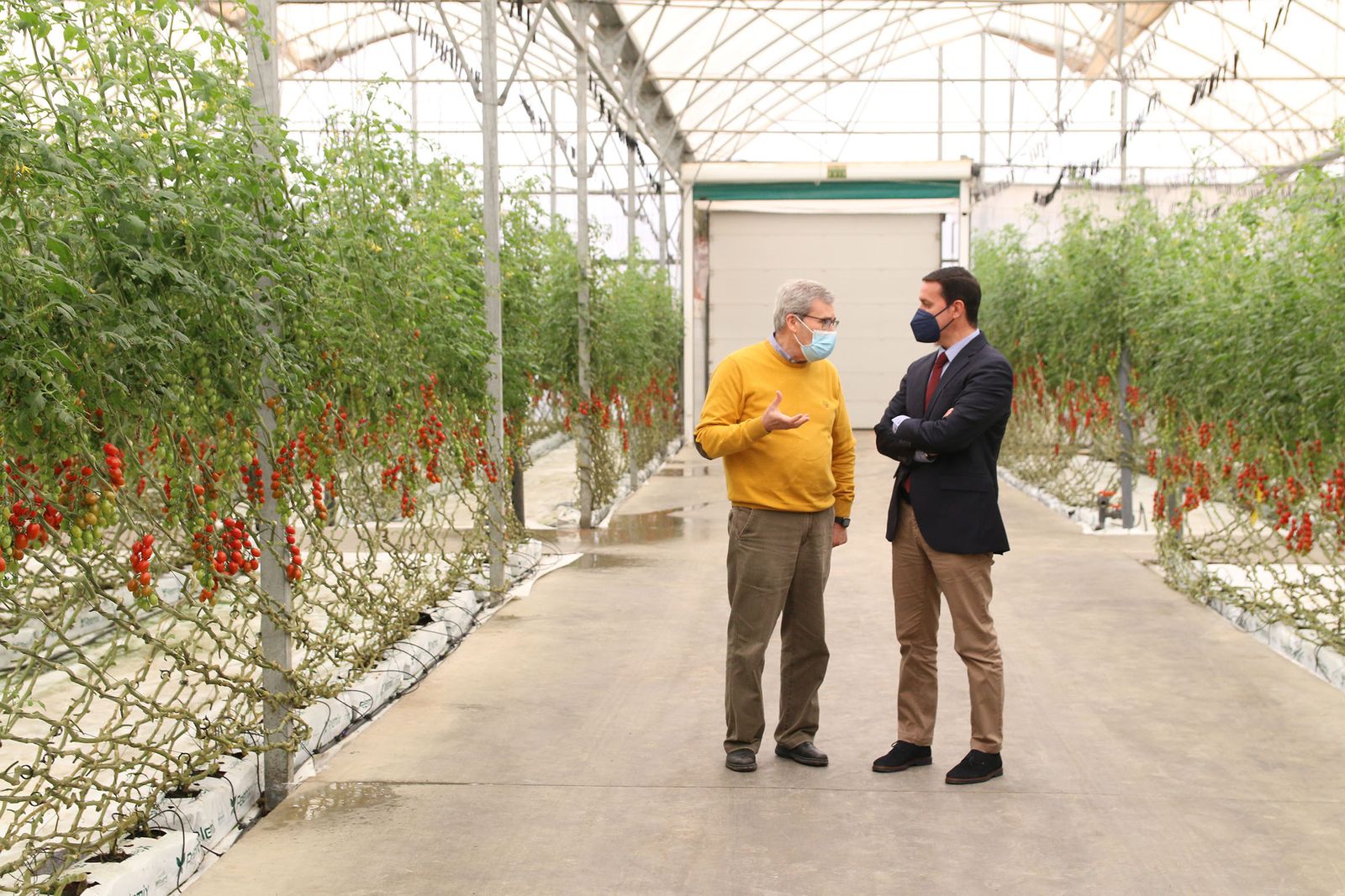 Fotogalería de la presentación del expositor 'Sabores Almería' en Madrid Fusión 2022