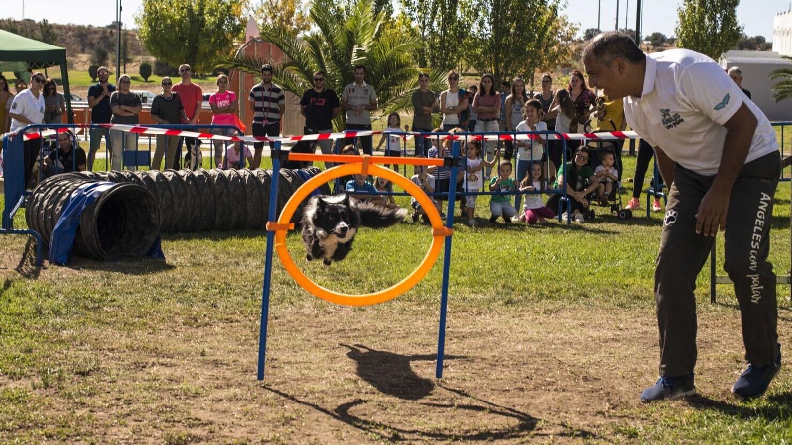 José Moreno, en una sesión de agility.