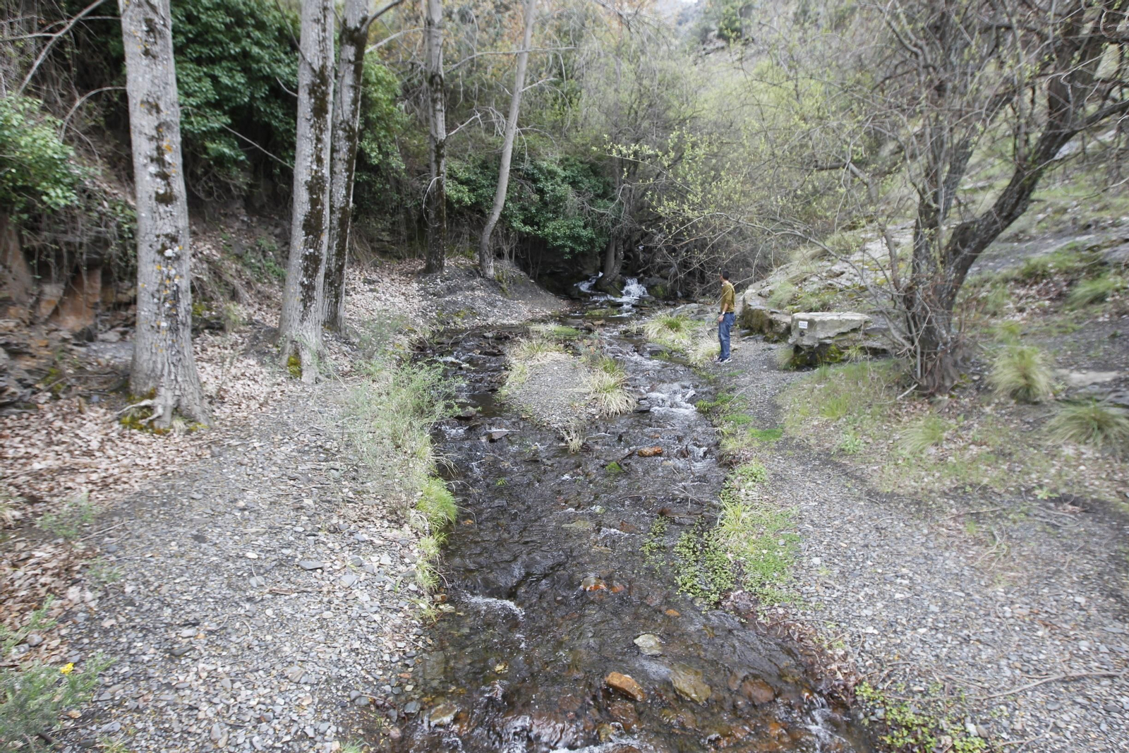 Naturaleza desconfinada. La Roza (Abrucena)